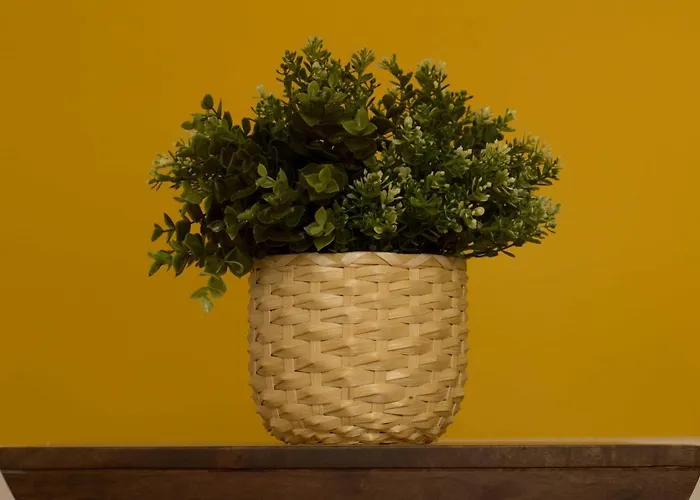 Intendente 1865 فندق مبيت وإفطار 3*