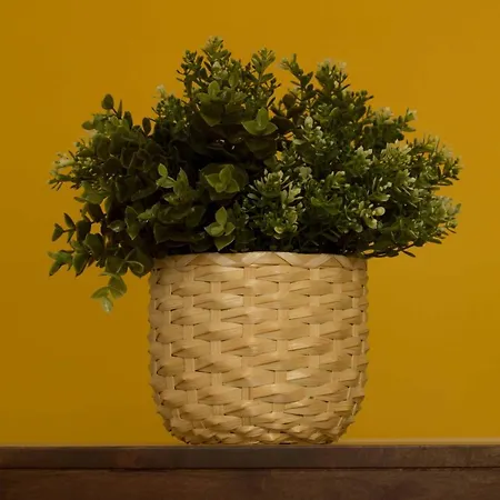 Intendente 1865 Oda ve Kahvaltı 3*