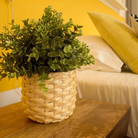 Intendente 1865 Bed & Breakfast *